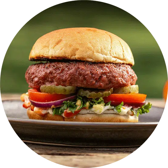 Classic Burger with Pickles, Tomato, Red Onion and Lettuce  