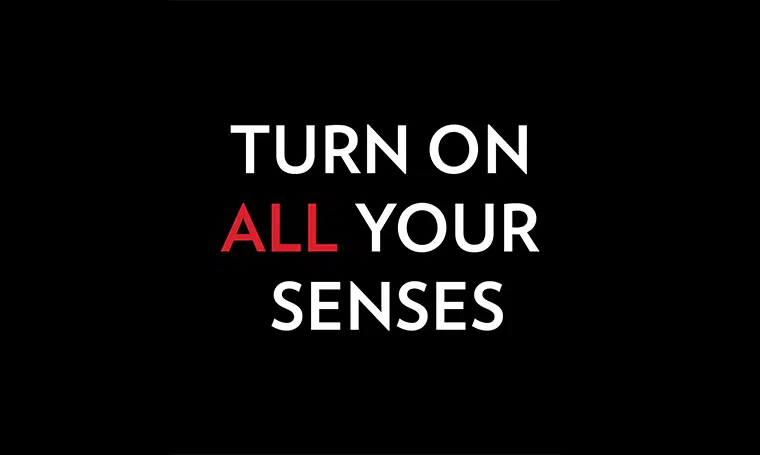 TUREN ON ALL YOUR SENSES