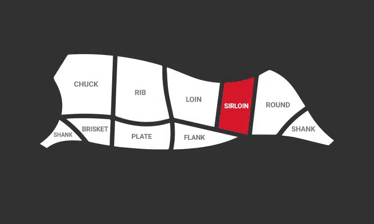 Cow Meat Diagram Explained | Redefine Meat